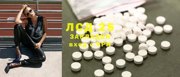 индика Киреевск