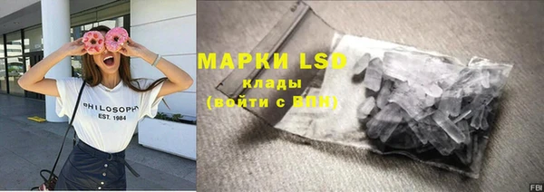 ГАЛЛЮЦИНОГЕННЫЕ ГРИБЫ Киренск