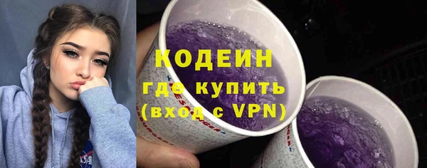 индика Киреевск