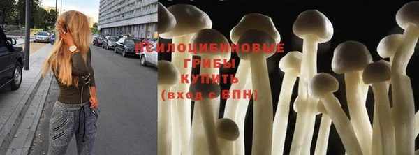 индика Киреевск