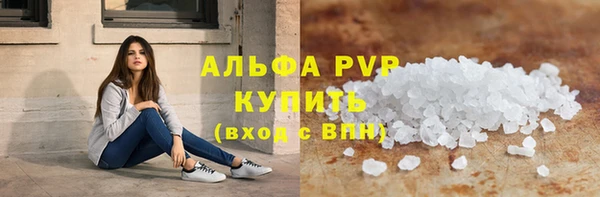 индика Киреевск