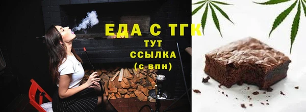 индика Киреевск