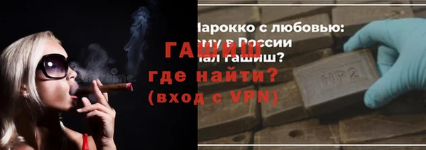 индика Киреевск