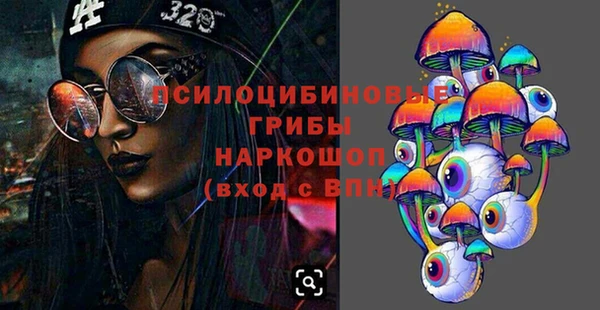 ГАЛЛЮЦИНОГЕННЫЕ ГРИБЫ Киренск