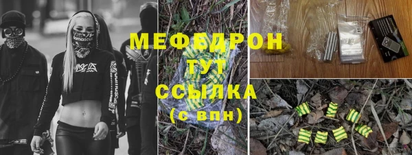 индика Киреевск