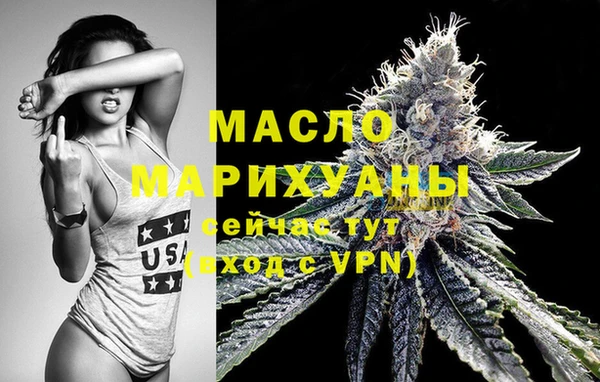 индика Киреевск