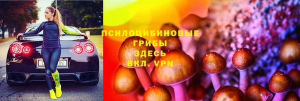 индика Киреевск