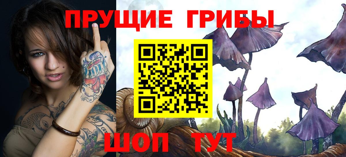 Ейск  Галлюциногенные грибы Cubensis  Галлюциногенные грибы мицелий  Вход с VPN 