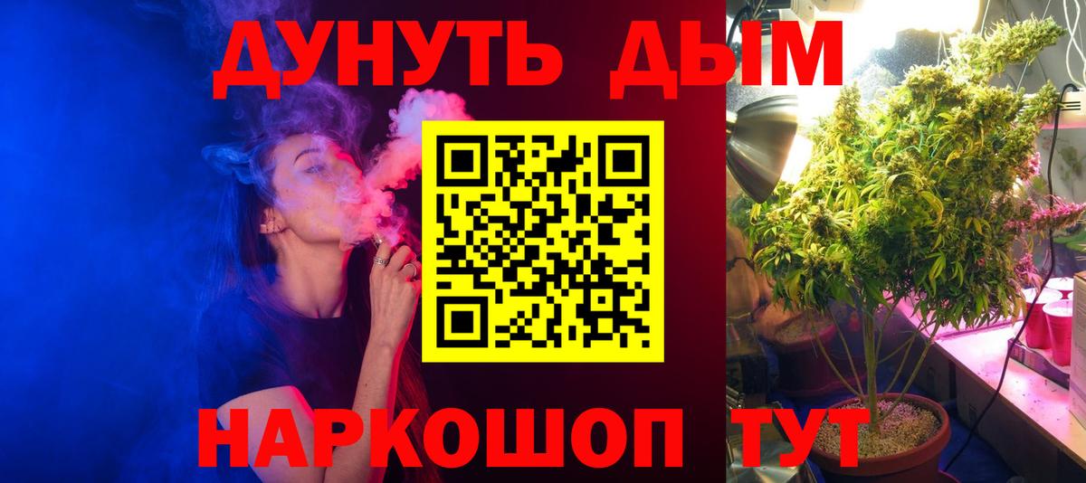 Бошки Шишки SATIVA & INDICA  Вход с VPN  Марихуана Ganja  Каннабис Bruce Banner  Каннабис сатива  Ейск 